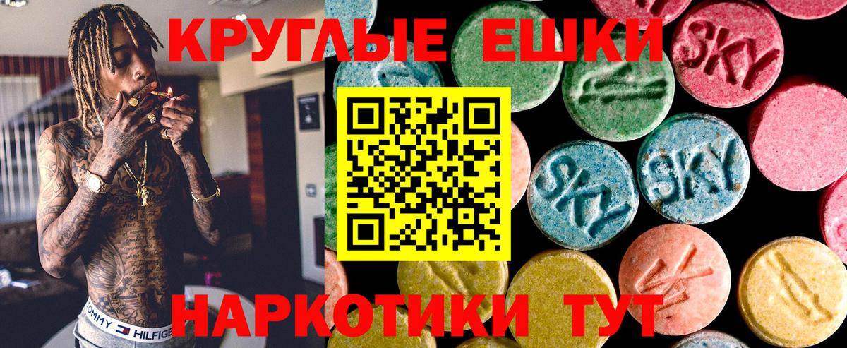 где купить наркоту  ЭКСТАЗИ Philipp Plein  Вход с VPN  ЭКСТАЗИ круглые  Зерноград 
